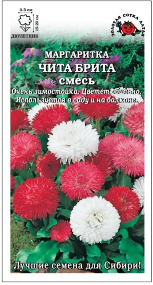 Цветы Маргаритка Чита Брита Смесь ЦВ/П (СОТКА) двулетник 15-20см