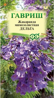Цветы Жакаранда Дельта F1 ЦВ/П (ГАВРИШ) 3шт комнатное до 2м