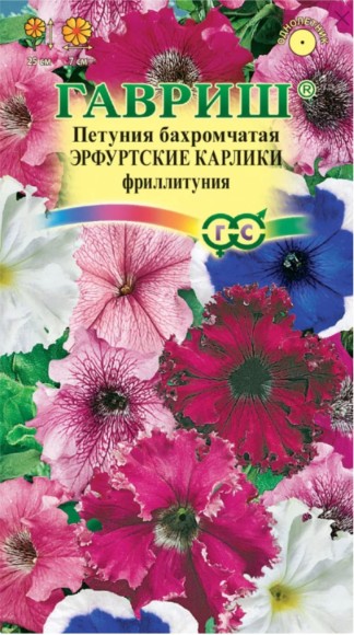 Цветы Петуния Эрфуртские Карлики ЦВ/П (ГАВРИШ) 7шт однолетник 25см