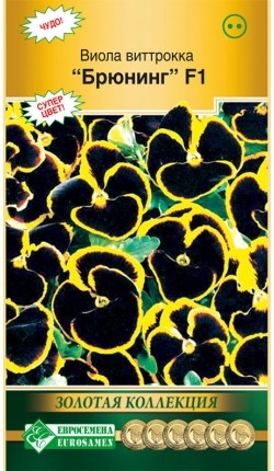 Цветы Виола Брюнинг ЦВ/П (ЕС) 10шт чёрная с жёлтым двулетник 15см