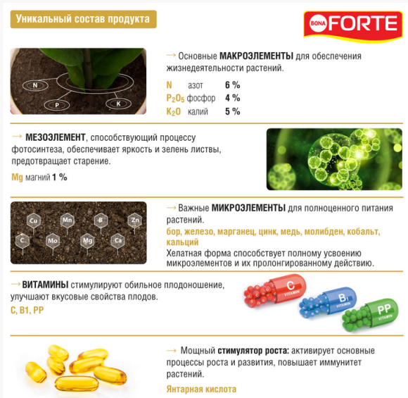 Удобрение Бона Форте Красота Фикусов и Пальм 285мл (1уп/20шт) min 3шт