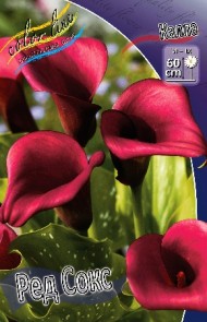 Калла Ред Сокс (1уп/2шт) Калла Ред Сокс (1уп/2шт)