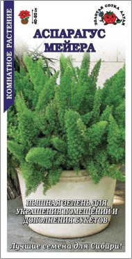 Цветы Аспарагус Мейера ЦВ/П (СОТКА) 3шт комнатное 40-60см