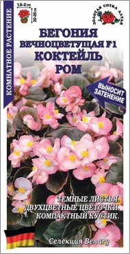 Цветы Бегония вечноцветущая F1 Ром ЦВ/П (СОТКА) 5шт комнатное 15-20см Цветы Бегония вечноцветущая F1 Ром ЦВ/П (СОТКА) 5шт комнатное 15-20см