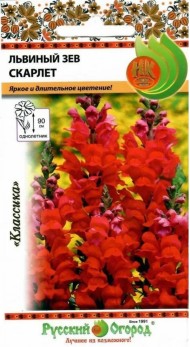 Цветы Львиный зев Скарлет ЦВ/П (НК) 0,15гр однолетник до 90см