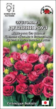 Цветы Эустома Дублини Роуз ЦВ/П (СОТКА) 5шт комнатное 80-90см