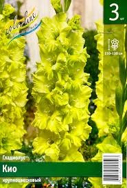 Гладиолусы Кио (1уп/10шт)