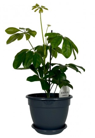 Горшок Антик 7,2лит D-28см Антрацит с поддоном