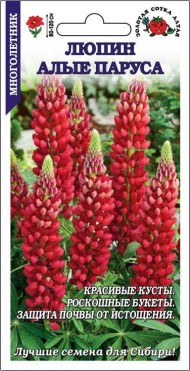 Цветы Люпин Алые Паруса ЦВ/П (СОТКА) 0,3гр многолетник до 1,2м