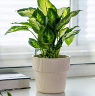 Горшок Алемар 2,4лит Крем (с дренажной системой)