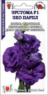 Цветы Эустома Эхо Парпл ЦВ/П (СОТКА) 5шт комнатное 80-90см