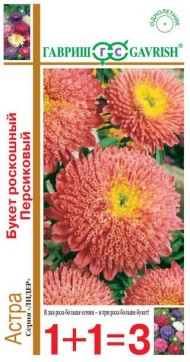 Цветы Астра Букет роскошный Персиковый ЦВ/П (ГАВРИШ) серия 1+1 0,5гр однолетник до 70см