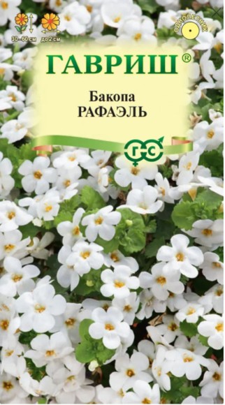 Цветы Бакопа Рафаэль ЦВ/П (ГАВРИШ) 3шт однолетник до 60см