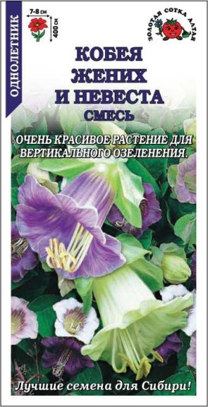 Цветы Кобея Жених и Невеста Смесь ЦВ/П (СОТКА) 0,3гр однолетник до 4м