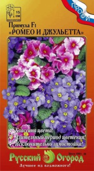 Цветы Примула Ромео и Джульета F1 ЦВ/П (НК) 5шт многолетник 10-15см