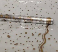 Пленка прозрачная с рисунком Горох с Каймой Золото 70см/200гр