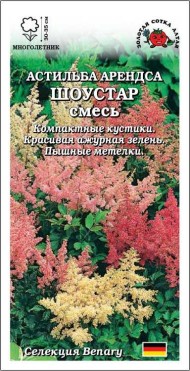 Цветы Астильба Арендса Шоустар ЦВ/П (СОТКА) 5шт многолетник 30-35см