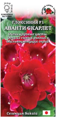 Цветы Глоксиния Аванти Скарлет ЦВ/П (СОТКА) 5шт комнатное Цветы Глоксиния Аванти Скарлет ЦВ/П (СОТКА) 5шт комнатное