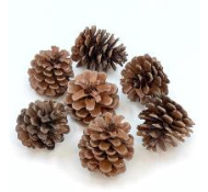 Набор Шишек D-45мм Натуральные 125гр