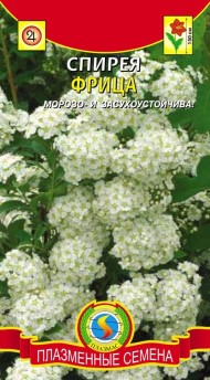 Цветы Спирея Фрица ЦВ/П (ПЛАЗМА) 0,03гр многолетник до 2м