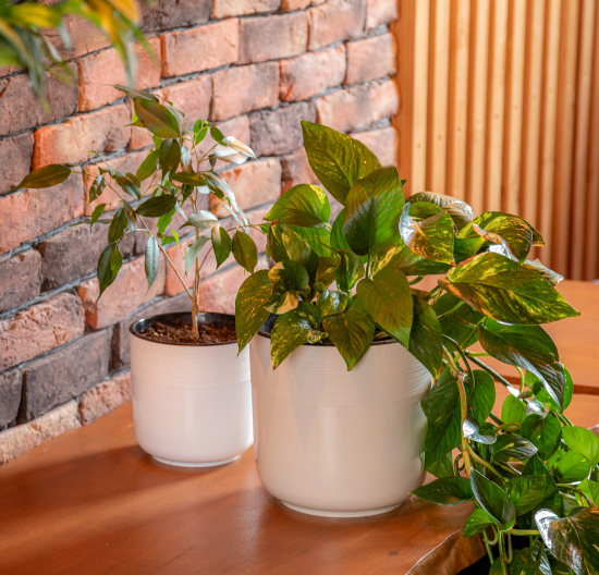 Горшок Линель 2,7лит Бежевый (с дренажной системой) Горшок Линель 2,7лит Бежевый (с дренажной системой)