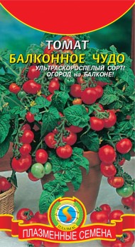 Томат Балконное Чудо ЦВ/П (ПЛАЗМА) 0,05гр раннеспелый 30-40см