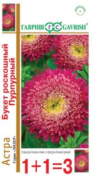 Цветы Астра Букет роскошный Пурпурный ЦВ/П (ГАВРИШ) серия 1+1 0,5гр однолетник до 70см