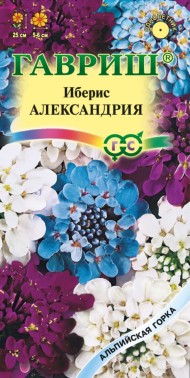 Цветы Иберис Александрия смесь ЦВ/П (ГАВРИШ) 0,1гр Альпийская горка однолетник 25см