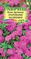 Цветы Флокс Очарование Малиновое друмонди ЦВ/П (ГАВРИШ) 0,05гр однолетник 25см