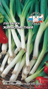 Лук батун Жирнолистный ЦВ/П (СЕДЕК) 1гр многолетний раннеспелый