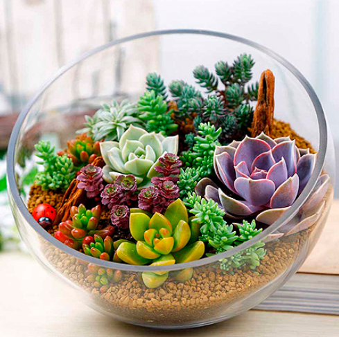 Ваза стеклянная Анабель шаровая с Косым срезом D-16см/Н-19,1см Арт-1673