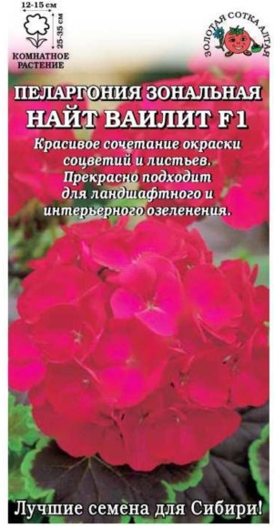 Цветы Пеларгония Найт Вайлит ЦВ/П (СОТКА) 3шт комнатное 25-35см