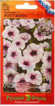 Цветы Минитуния Роуз Вейн F1 ЦВ/П (НК) 6шт однолетник до 90см