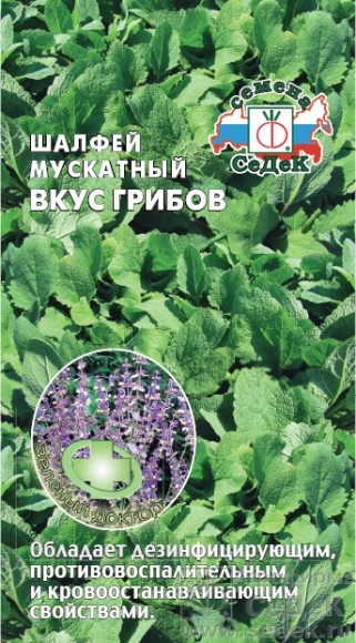 Пряность Шалфей Вкус грибов Мускатный ЦВ/П (СЕДЕК) 0,1гр многолетник